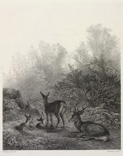 DQCJIYIGL Berühmte Gemälde HD Leinwanddruck Graffti Kunst Poster Ruhender Hirsch von Karl Bodmer Kunst Porträt für Schlafzimmer Home Decor 60x90cm von DQCJIYIGL