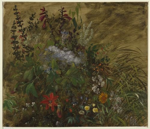 DQCJIYIGL Berühmte Gemälde Leinwand Plakat Abstrakter Druck Blumen in jamaika von frederic edwin church Tier Poster für Heimtextilien 60x90cm von DQCJIYIGL