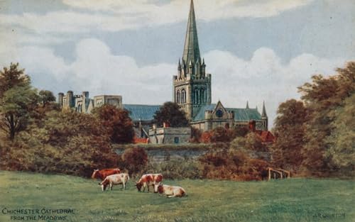 DQCJIYIGL Berühmte Gemälde Leinwand Plakat Abstrakter Druck Kathedrale von Chichester von den Wiesen von Alfred Robert Quinton Tier Poster für Heimtextilien 60x90cm von DQCJIYIGL