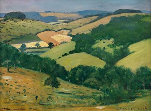 DQCJIYIGL Berühmte Gemälde Leinwand Plakat Abstrakter Druck Rollendes land von christopher richard wynne Nevinson Tier Poster für Heimtextilien 60x90cm von DQCJIYIGL