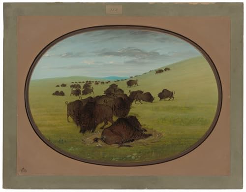 DQCJIYIGL Berühmte Gemälde Leinwand Plakat Abstrakter Druck ein Animal Wallow von George Catlin Tier Poster für Heimtextilien 60x90cm von DQCJIYIGL