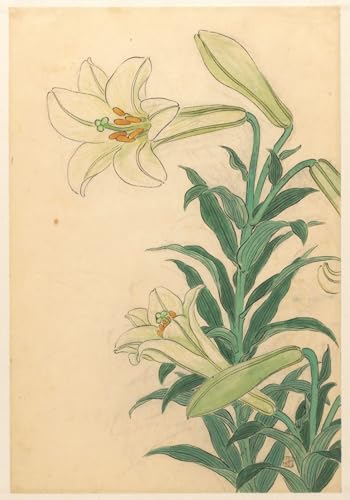 DQCJIYIGL Berühmte Gemälde Leinwanddruck Kunst Wandmalereien Kunstwerk Gallinule mit Blumen von Ohara Koson Poster Bilder für Wohnzimmerdekoration 60x90cm DQCJIYIGL Berühmte Gemälde Leinwanddruck Kunst Wandmalereien Kunstwerk Gallinule mit Blumen von Ohara Koson Poster Bilder für Wohnzimmerdekoration 60x90cm von DQCJIYIGL