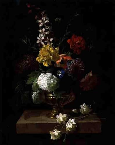 DQCJIYIGL Berühmte Gemälde Leinwanddruck Kunst Wandmalereien Kunstwerk Stillleben mit Blumen in einer Urne von Jakob Bogdani oder Bogdany Poster Bilder für Wohnzimmerdekoration 60x90cm von DQCJIYIGL