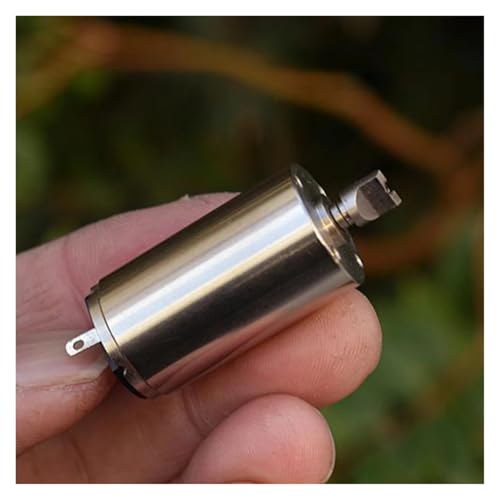 DQFOCPHHAA 17mm*31mm 1731 Mute 7-Pole Rotor Big Coreless Electronic Starter DC 6V-12V High Speed NdFeB 1.5mm*5mm Flat Shaft DQFOCPHHAA 17mm*31mm 1731 Mute 7-Pole Rotor Big Coreless Electronic Starter DC 6V-12V High Speed NdFeB 1.5mm*5mm Flat Shaft von DQFOCPHHAA
