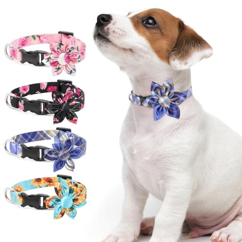 Hundehalsband DQGHQME Halsband Hund Verstellbare und Personalisiert mit Abnehmbarer Fliege, Weich & Komfort Hunde Halsband für Jungen, Katzen, Kleine, Mittelgroße und Große Hunde, Geschenk (L, Blau) von DQGHQME