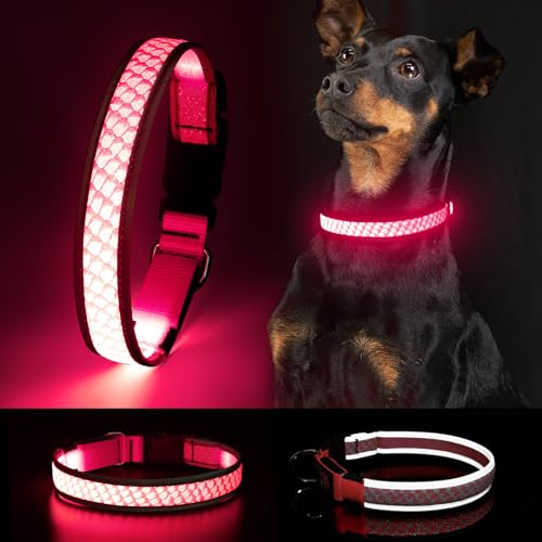 Hundehalsband Leuchtend DQGHQME LED Leuchthalsband Hund USB Aufladbar Wasserfest Leuchtendes Halsband Hund Langhaar Längenverstellbar für Kleine Mittel Große Hunde bei Nacht - mit 3 Leuchtmodi, Rot S von DQGHQME