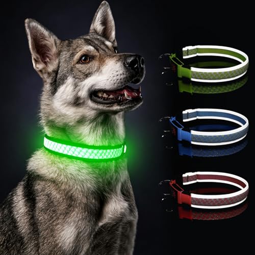 Hundehalsband Leuchtend für Kleine Hund DQGHQME Leuchthalsband Hund USB Aufladbar LED Halsband für Hunde Wasserdicht Sicherheit für Nacht mit 3 Lichtmodi, Haustier Sicherheit Kragen Voll einstellbar von DQGHQME