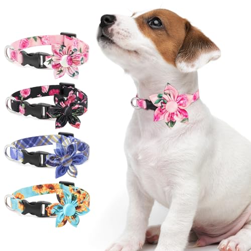 Hundehalsband Personalisiert, Weich & Komfort & Niedliches Halsband Hund Bunt, Gemustertes Hunde Halsbänder mit Abnehmbarer Fliege, Verstellbares Halsband für Kleine, Mittlere, Große Mädchenhunde Rosa von DQGHQME