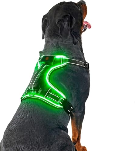 LED Hundegeschirr Leuchtend, Leuchtgeschirr für Hunde Aufladbar, No Pull Reflektierend Brustgeschirr Gepolstert, Anti Zug Hund Leucht Geschirr mit Griff Verstellbar für Kleine Mittelgroße Grosse Hunde von DQGHQME