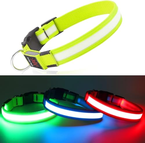 Leuchthalsband Hund DQGHQME Hundehalsband Leuchtend USB Aufladbar LED Leucht Halsband für Hunde Verstellbares Leuchtendes Hundehalsband kleine, Mitte, Große Hunde Super Helle Sicher für Die Nacht von DQGHQME