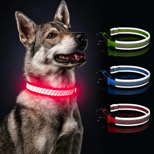 Leuchthalsband Hund USB Aufladbar Hundehalsband Leuchtend LED Halsband für Hunde Wasserdicht Einstellbar Leuchtendes Hundehalsband Klein Mittlere Große Hunde Super Helle mit 3 Beleuchtungsmodi, Rose-M von DQGHQME