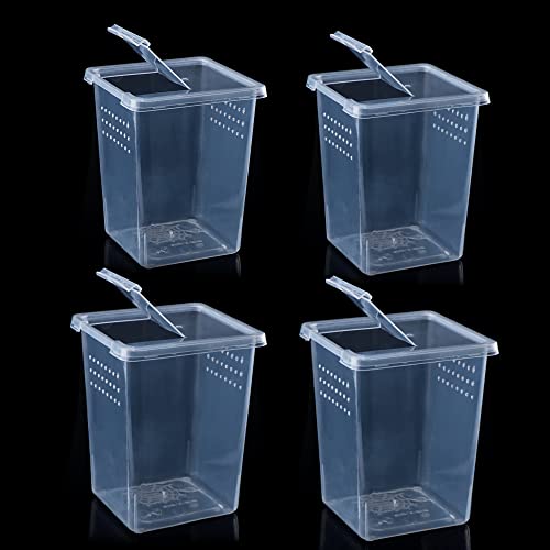 4 Stück Insektenspinnen-Terrarien Zuchtkasten Schlüpfbehälter Kleine Reptilien Arboreal Spider Mantis Skorpion Tausendfüßler Acryl Zuchtbox 4 Stück Insektenspinnen-Terrarien Zuchtkasten Schlüpfbehälter Kleine Reptilien Arboreal Spider Mantis Skorpion Tausendfüßler Acryl Zuchtbox von DQITJ