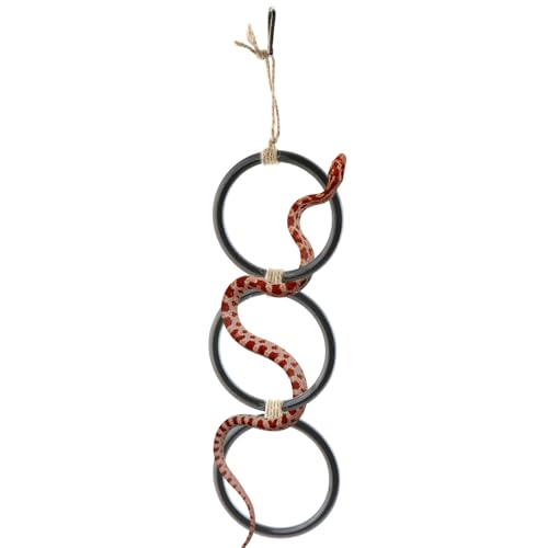 DQITJ Schlangenanreicherungsringe Schlangengehege Tankkäfig Kletterzubehör für Ball Python Maisschlangen Rattenschlangen DQITJ Schlangenanreicherungsringe Schlangengehege Tankkäfig Kletterzubehör für Ball Python Maisschlangen Rattenschlangen von DQITJ