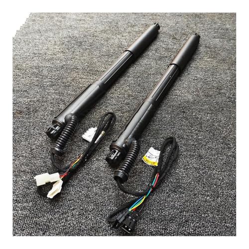 DQRG Kofferraum-Gasfeder 2 Stücke Links & Rechts Elektrische Heckklappe Lift Unterstützt Streben Für X5 E70 2007-2013 51247332695 51244887651 51247332696 Gasfeder Gasdruckfeder Lift Stützen von DQRG