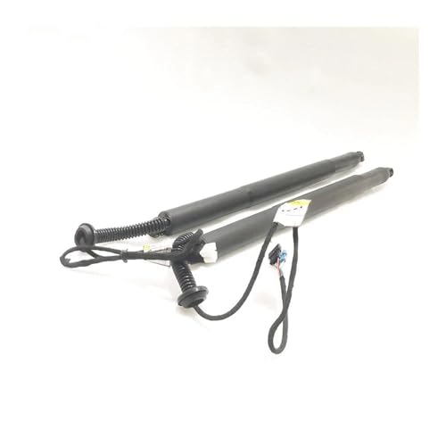 DQRG Kofferraum-Gasfeder 2PCS Auto Hinten Elektrische Heckklappe Strut Für X6 F16 2016-2017 Links 51247434043 Rechts 51247434044 1 Paar Auto Teile Gasfeder Gasdruckfeder Lift Stützen(A Pair) von DQRG