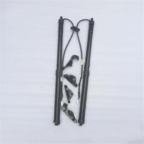 DQRG Kofferraum-Gasfeder 2PCS Elektrische Heckklappe Gas Streben Für Toyota Für Highlander 6891009130 2014-2019 6891009051 6891009053 6892009020 6892009021 Gasfeder Gasdruckfeder Lift Stützen(rechts) von DQRG