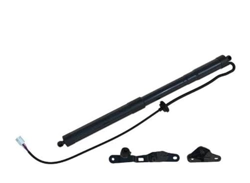 DQRG Kofferraum-Gasfeder 6892009010 68910-0R051 Geeignet Für RAV4 2013–2018 Modelle, Mit Elektrisch Betriebener Heckklappenstrebe. Gasfeder Gasdruckfeder Lift Stützen(Links) von DQRG