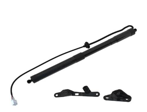 DQRG Kofferraum-Gasfeder 6892009010 68910-0R051 Geeignet Für RAV4 2013–2018 Modelle, Mit Elektrisch Betriebener Heckklappenstrebe. Gasfeder Gasdruckfeder Lift Stützen(rechts) von DQRG