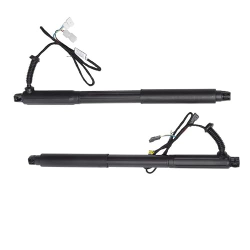 DQRG Kofferraum-Gasfeder Für E70 X5 51247332695 51247332696 Links Und Rechts Power Lift Tor Lift Auto Heckklappe OEM 51247172059 51247286115 51244887651 Gasfeder Gasdruckfeder Lift Stützen(Links) von DQRG