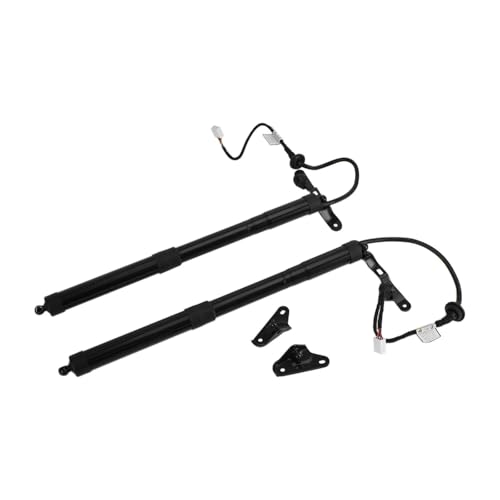 DQRG Kofferraum-Gasfeder Paar Power Heckklappe Antrieb Montage 68920-09010 Für Toyota Für RAV4 2013 2014 2015 2016 2017 2018 Gasfeder Gasdruckfeder Lift Stützen von DQRG