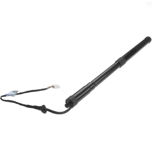 Kofferraum-Gasfeder Heckklappe Power Hatch Lift Unterstützung Opener Schock Für Lexus RX350 RX450h 3,5 L 2016-2019 6891048070 Elektrische Heckklappe Gas Streben Gasfeder Gasdruckfeder Lift Stützen(RH) Kofferraum-Gasfeder Heckklappe Power Hatch Lift Unterstützung Opener Schock Für Lexus RX350 RX450h 3,5 L 2016-2019 6891048070 Elektrische Heckklappe Gas Streben Gasfeder Gasdruckfeder Lift Stützen(RH) von DQRG