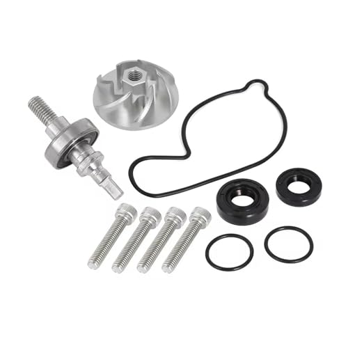 Dichtungssatz Wasserpumpenlaufrad, Getriebewellendichtung 93306-00105-00 5TG-12439-00-00 93102-11008-00 Für 2004-2013(Multi-coloredA) von DQSSSL