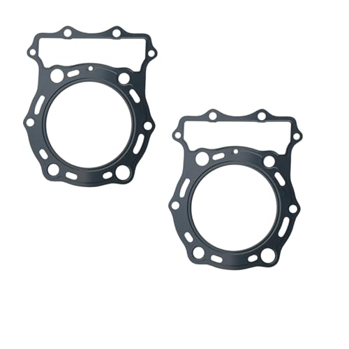 Motorrad Volle Kurbelgehäuse Abdeckungen Zylinder Dichtung Kits Set Für Für VN1500 2004-2008 Für VN1600 2003-2008(Cylinder head gasket) von DQSSSL