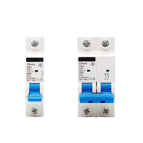 CB-125G 2P 80A 100A 125A DC 125V/220V AC400V Miniature Circuit breaker MCB(100A) von DQTWFJDZH