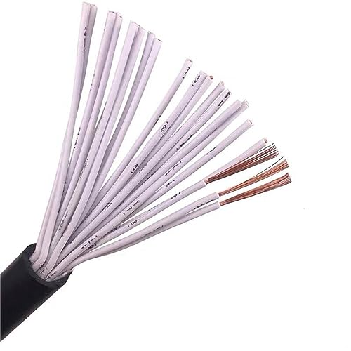 Abgeschirmtes Steuerkabel Signaldraht, UL2464 Doppelschichtiges geschirmtes Kabel, mehrere AWG und Adern, mehrere Größen(20cores,20awg 0.5mm 1meter) von DQZRTUECA