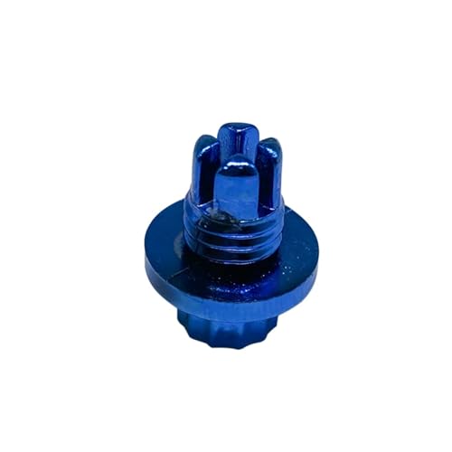 DQZRTUECA Kunststoff-Radmutternabdeckungen für Autos, 100 stücke Rad Nieten Muttern Reifen Nagel Bolzen Schraube for Auto Felge Universal D010 Dekoration ABS Kunststoff Externe Auto Teile(Blue) von DQZRTUECA