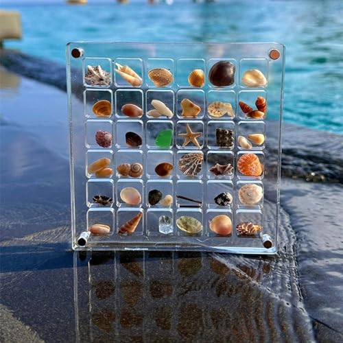 Magnetische Muschel-Vitrine aus Acryl, Muschel-Vitrine mit 36/64/100 Rastern, multifunktionale transparente Schmuck-Vitrine, Nail-Art-Box, stapelbare Muschel-Vitrine (ohne Muscheln) (36 Squares) von DRABEX