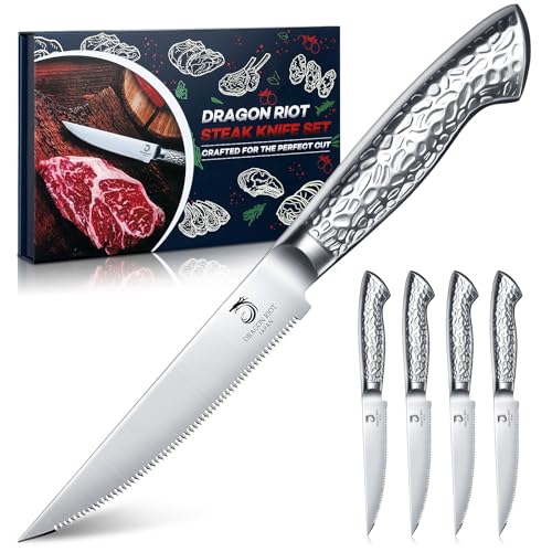 DRAGON RIOT Steakmesser-Set, 4-teiliges Steakbesteck mit Sägezahnklingen aus japanischem Edelstahl, spülmaschinengeeignet inklusive Aufbewahrungsbox von DRAGON RIOT