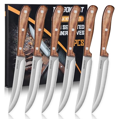 DRAGON RIOT Steakmesser-Set 6 Teilig, Steak Messer mit mit Holzgriff, Steakmesserset mit Geschenkbox von DRAGON RIOT