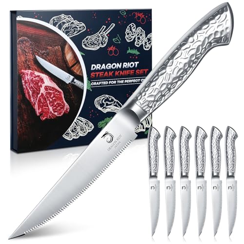 DRAGON RIOT Steakmesser Set 6-teiliges Steakbesteck mit Sägezahnklingen aus japanischem Edelstahl, spülmaschinengeeignet inklusive Aufbewahrungsbox von DRAGON RIOT