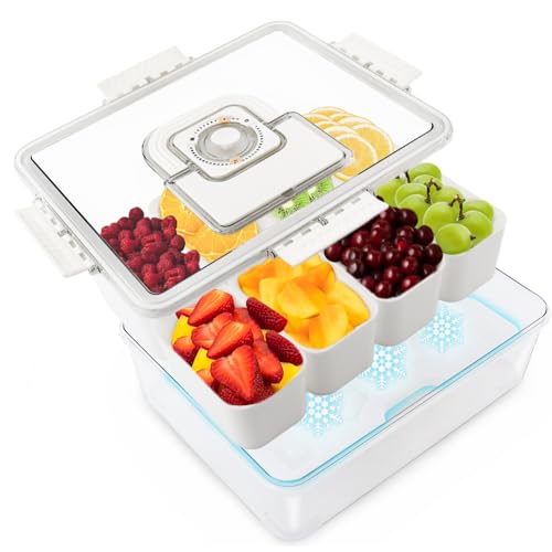 Snackle Box Container Mit Eisbeutel, Geteiltes Serviertablett Mit Deckel und Griff, Charcuterie Board für Tragbare Snack Platten Cream Organizer für Obst Snacks, für Party (1, Rechteckig mit Eisfach) von DRAONGYE