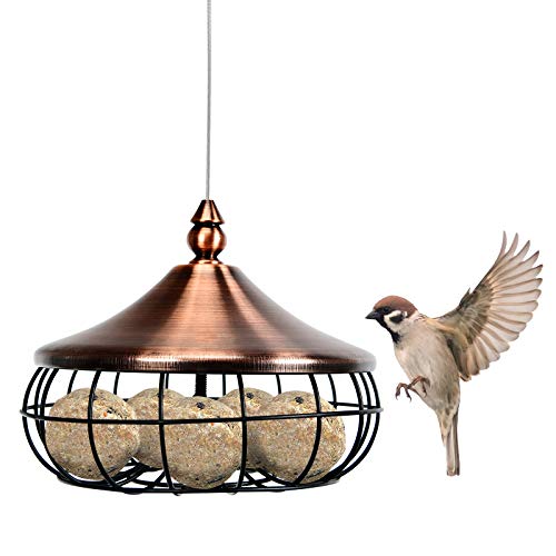 DREAMADE Hängende Vogelfutterstation für Wildvögel, Meisenknödelhalter, Futterring, Vogelhaus, Futterhaus, Futterspender aus Metall, 16x16x13 cm DREAMADE Hängende Vogelfutterstation für Wildvögel, Meisenknödelhalter, Futterring, Vogelhaus, Futterhaus, Futterspender aus Metall, 16x16x13 cm von DREAMADE