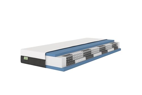 DREAMSTAR Premium 1000er Taschenfederkernmatratze I ergonomische 7-Zonen Tonnentaschenfederkernmatratze I Höhe 22 cm I Härtegrad 4 (H4) 100-140 kg I 100 x 200 cm von DREAMSTAR