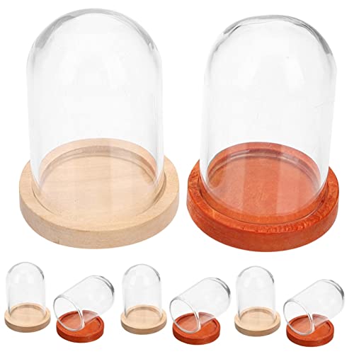 DRESSOOS 10er Set Glasglocken Für Sammlerstücke Blumenglocke Vitrinen Mit Rose von DRESSOOS