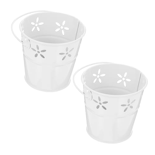 DRESSOOS 2 Stück Kleine Eisenblumentöpfe Robuste für Balkon Garten und Innenräume Multifunktionale Aufbewahrung und Dekoration für Kleine Pflanzen und Kreative Gartenideen DRESSOOS 2 Stück Kleine Eisenblumentöpfe Robuste für Balkon Garten und Innenräume Multifunktionale Aufbewahrung und Dekoration für Kleine Pflanzen und Kreative Gartenideen von DRESSOOS