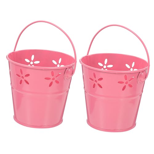DRESSOOS 2 Stück Kleine Eisenblumentöpfe mit Henkel Tragbare Pflanzeimer für Balkon Vielseitige Aufbewahrung für Blumen Sukkulenten und Bastelbedarf Vintage Deko Robustes DRESSOOS 2 Stück Kleine Eisenblumentöpfe mit Henkel Tragbare Pflanzeimer für Balkon Vielseitige Aufbewahrung für Blumen Sukkulenten und Bastelbedarf Vintage Deko Robustes von DRESSOOS