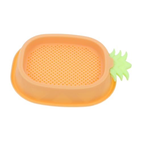 DRESSOOS Cat Grass Box Hydroponische Katzenminze Box Soillose Pflanzenzucht Für Katzen Und Hunde Gelb Fördert Die Verdauung Und Haarballen Für Drinnen Und Draußen von DRESSOOS