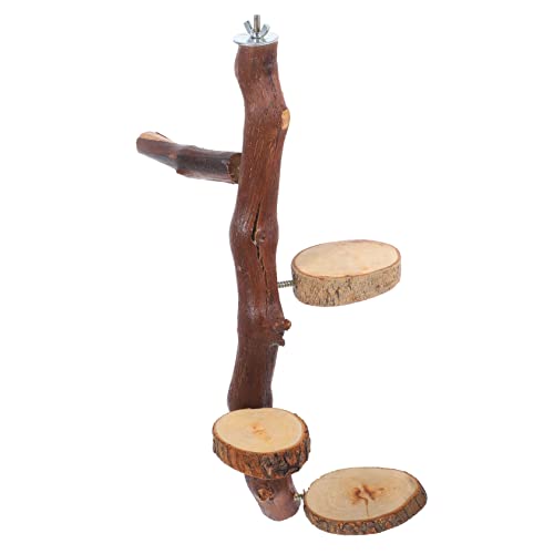 DRESSOOS Papageienständer Haushaltskletterbrett Sprungbrett Für Chinchilla Home Springboard Zartes Sprungbrett Praktisches Sprungbrett Praktisches Kletterbrett Praktischer Sprungständer von DRESSOOS