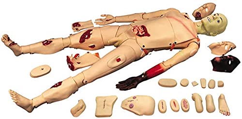 DRFGHK 170cm Life Size Multi-Functional Patient Care Simulator - Nursing Manikin First Aid Trauma Human Anatomical Model for Students Education Teaching Medical Training Skills DRFGHK 170cm Life Size Multi-Functional Patient Care Simulator - Nursing Manikin First Aid Trauma Human Anatomical Model for Students Education Teaching Medical Training Skills von DRFGHK
