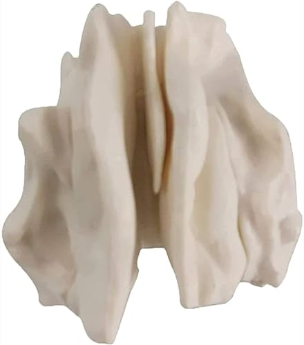 DRFGHK Anatomy Model Skull Ethmoid, Life Size Human Skull Model Medical Teaching Model Adult Scattered Bone Skull Model for Medical Student Human Anatomy Study Course Polyvinyl Chloride. , Skin DRFGHK Anatomy Model Skull Ethmoid, Life Size Human Skull Model Medical Teaching Model Adult Scattered Bone Skull Model for Medical Student Human Anatomy Study Course Polyvinyl Chloride. , Skin von DRFGHK