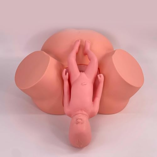 DRFGHK Delivery Training Model fetal Simulator Model with Adjustable Inflatable Bag to simulate The Size of The Uterus for Practical Teaching DRFGHK Delivery Training Model fetal Simulator Model with Adjustable Inflatable Bag to simulate The Size of The Uterus for Practical Teaching von DRFGHK