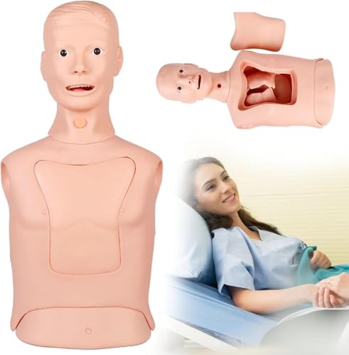 DRFGHK Multifunctional Tube and tracheal Care Training Manikin, Advanced nasogastric Tube Model, Suitable for Scientific Education/Learning/Practice DRFGHK Multifunctional Tube and tracheal Care Training Manikin, Advanced nasogastric Tube Model, Suitable for Scientific Education/Learning/Practice von DRFGHK