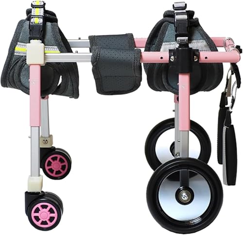Hunderollstuhl mit 4 Rädern, Mobilitätswagen, verstellbarer Hunderollstuhl, Rollstuhl mit Beinstütze für kleine, mittelgroße und große Hunde, Mobilitätshilfen für die Hinterbeine von Hunden (ROSA, XXL von DRFGHK