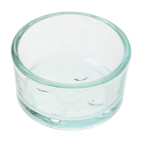 DRHTDXEJ Reptilien Futternapf Anti Escape Wurm Dish Reptilien Glas Futternapf Reptilien Trinkbecher für Eidechsen Schlangen von DRHTDXEJ