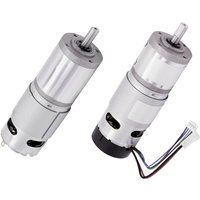 Drive System Europe By Msw - Gleichstrom-Getriebemotor DSMP420-12-0014-BF 025001 12 v/dc 5.5 a 0.65 Nm von DRIVE SYSTEM EUROPE BY MSW