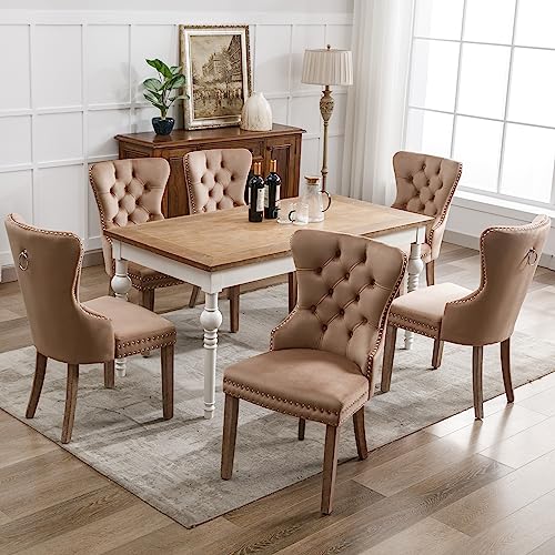 DRIXNO Esszimmerstuhl (Küchenstuhl Wohnzimmerstuhl mit einzigartigem Türklopfer auf der Rückseite, 6 St), Polsterstuhl mit Nagelkopfbesatz, Beinen aus Massivholz, Bezug aus Samt, Braun von DRIXNO